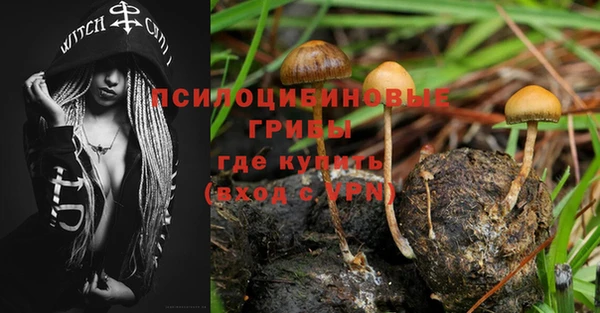 ешки Алексеевка