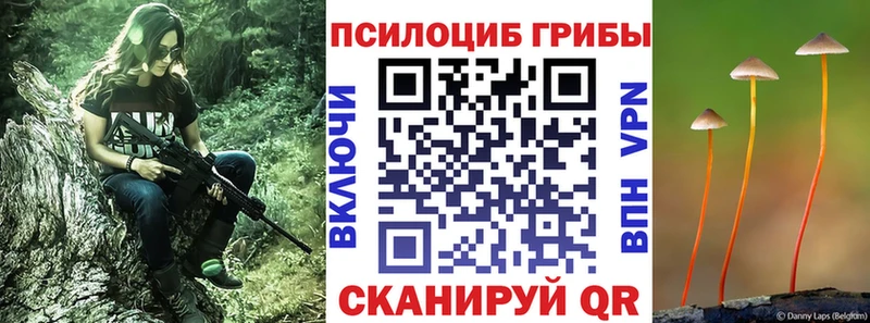 купить наркотики сайты  Кольчугино  Псилоцибиновые грибы прущие грибы 